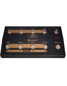 Ecoustic  Foot Controller