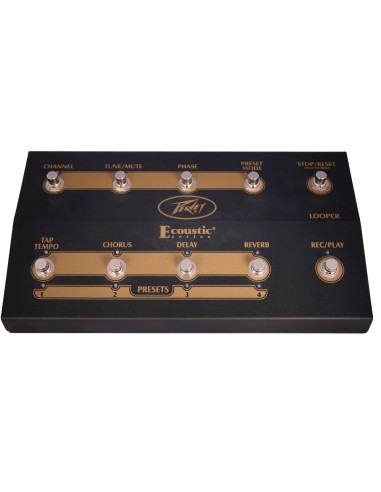 Ecoustic  Foot Controller