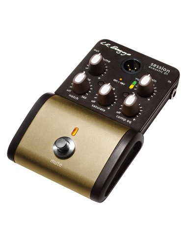 PEDAL SESSION DI ACOUSTIC GUIT