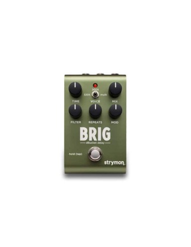 PEDAL BRIG DBUCKET DELAY