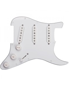 Classic Loaded Pickgrd Assy Cl