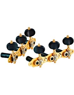 ORTEGA PRIVATE ROOM TUNING MAC