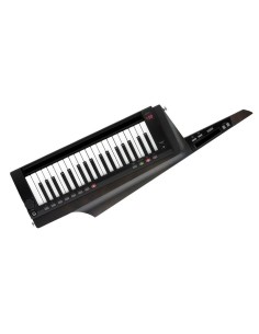 KEYTAR RK-100S 2 BK