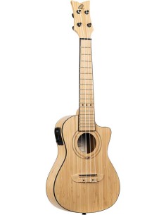 BAMBOO S. AC-ELECTRIC CONCERT