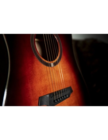 QGA-100CE SBG (PREAMP)