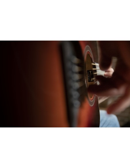 QGA-100CE SBG (PREAMP)