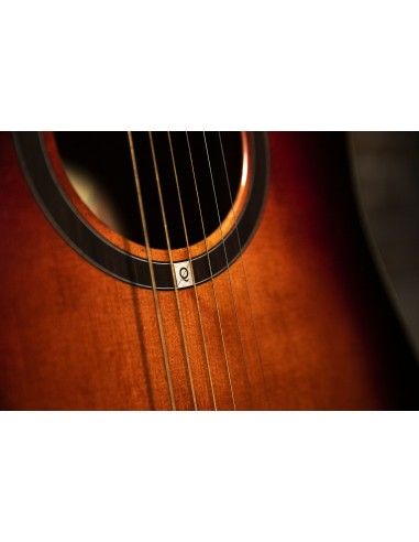 QGA-100CE SBG (PREAMP)