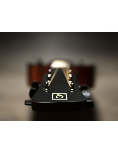 QGA-100CE SBG (PREAMP)