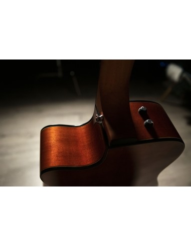 QGA-100CE SBG (PREAMP)