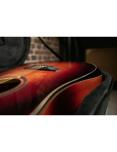 QGA-100CE SBG (PREAMP)