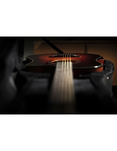 QGA-100CE SBG (PREAMP)