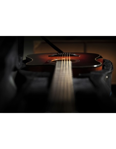 QGA-100CE SBG (PREAMP)