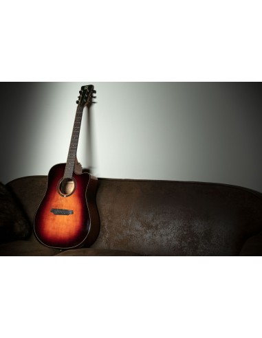 QGA-100CE SBG (PREAMP)