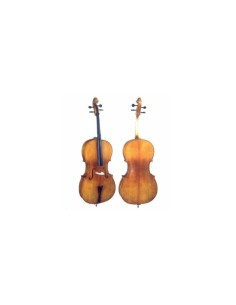 Cello Karpathi 1443-P 3/4