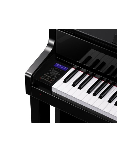 CELVIANO GRAND HYBRID GP-510