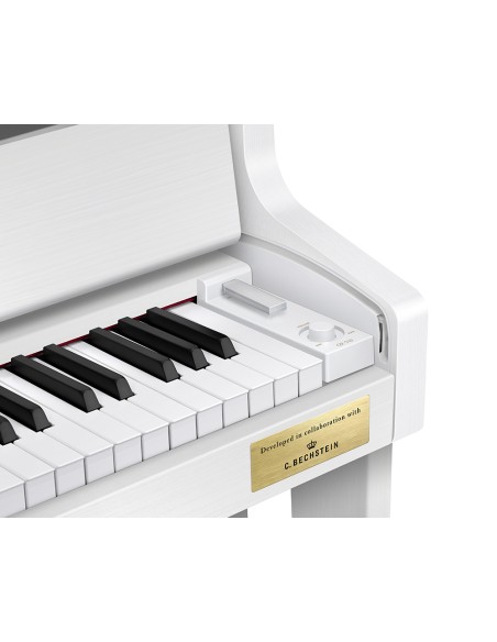 CELVIANO GRAND HYBRID GP-310WE