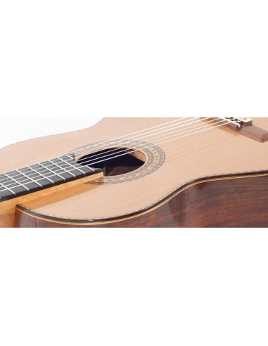 Guitarra Clásica Altamira S.D.T.