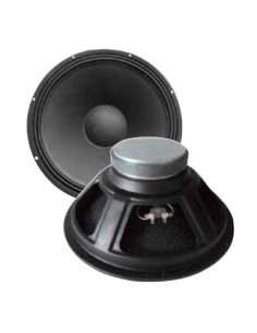 ALTAVOZ DE 10 LSW1015