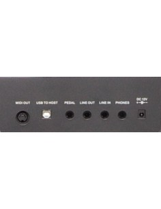 PIANO DE ESCENARIO RINGWAY RP25 2