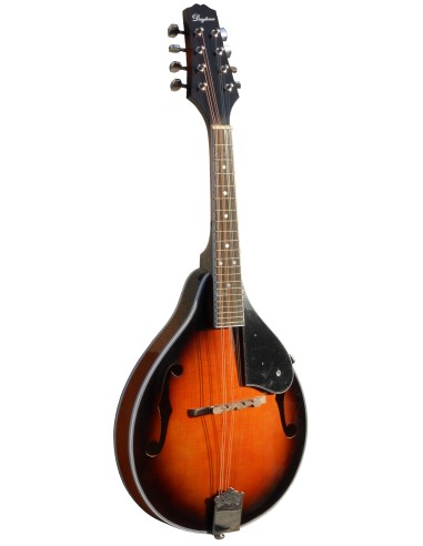 MANDOLINA DAYTONA ML01