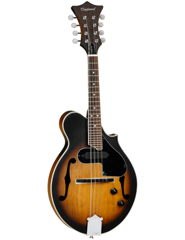 MANDOLINA TANGLEWOOD TWMFVSE