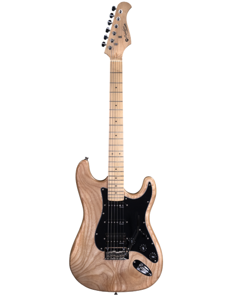 GUITARRA ELÉCTRICA PRODIPE SERIE ST83-RA STRATOCASTER FRESNO
