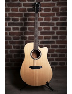 QGA-100 CE SOLID NAT (PREAMP) 2