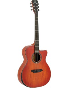 QGA-102 RDCE (PREAMP)