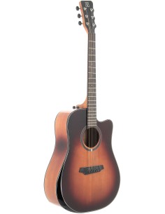 QGA-100CE SBG (PREAMP)