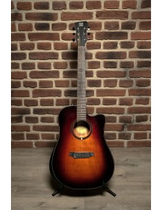 QGA-100CE SBG (PREAMP) 2