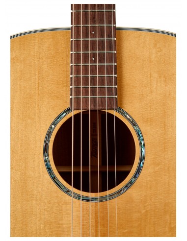 THE TASMAN TA100 DREADNOUGHT ACUSTICA , PREMIUM HARD CASE