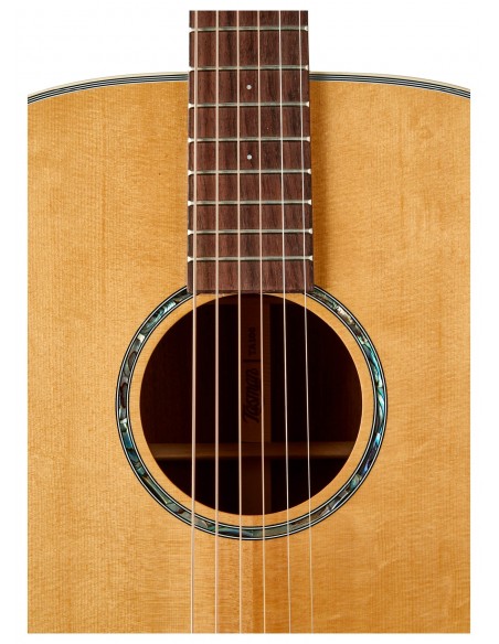 THE TASMAN TA100 DREADNOUGHT ACUSTICA , PREMIUM HARD CASE