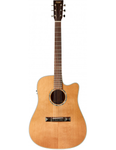 THE TASMAN TA100-CE DREADNOUGHT CUTAWAY ELECTRO-ACUSTICA  FISHMAN PRESYS II , PREMIUM HARD CASE