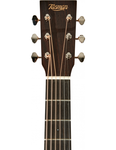 THE TASMAN TA300-CE DREADNOUGHT CUTAWAY ELECTRO-ACUSTICA FISHMAN SONITONE GT2 , PREMIUM HARD CASE