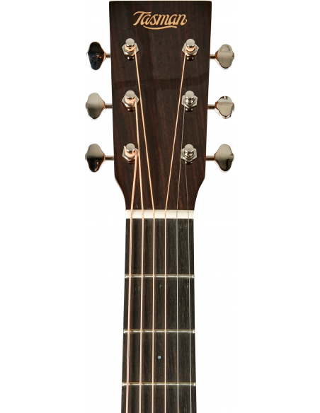 THE TASMAN TA300-CE DREADNOUGHT CUTAWAY ELECTRO-ACUSTICA FISHMAN SONITONE GT2 , PREMIUM HARD CASE