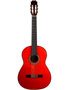 ATF-17BR - GUITARRA...