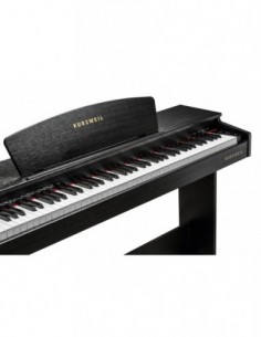 M70 - PIANO DIGITAL... 2