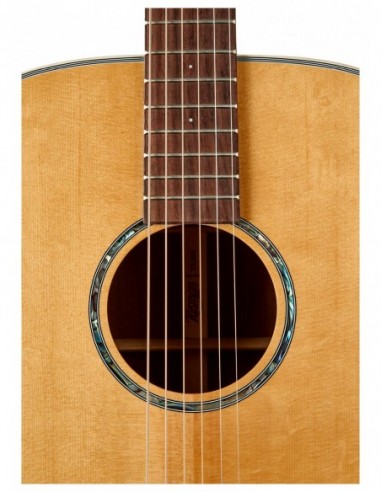 THE TASMAN TA100 DREADNOUGHT ACUSTICA...