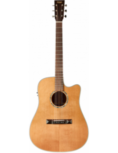 THE TASMAN TA100-CE DREADNOUGHT CUTAWAY ELECTRO-ACUSTICA  FISHMAN PRESYS II , PREMIUM HARD CASE 2
