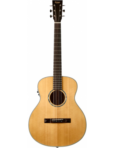 THE TASMAN TA100M-E  MINI JUMBO...