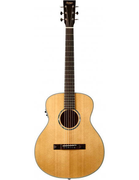 THE TASMAN TA100M-E  MINI JUMBO ELECTRO-ACUSTICA  FISHMAN PRESYS II , PREMIUM HARD CASE