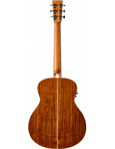 THE TASMAN TA100M-E  MINI JUMBO...