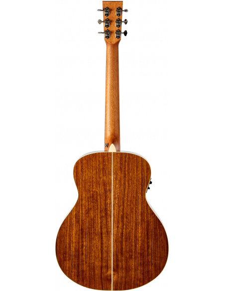 THE TASMAN TA100M-E  MINI JUMBO ELECTRO-ACUSTICA  FISHMAN PRESYS II , PREMIUM HARD CASE