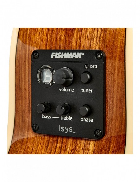 THE TASMAN TA100M-E  MINI JUMBO ELECTRO-ACUSTICA  FISHMAN PRESYS II , PREMIUM HARD CASE