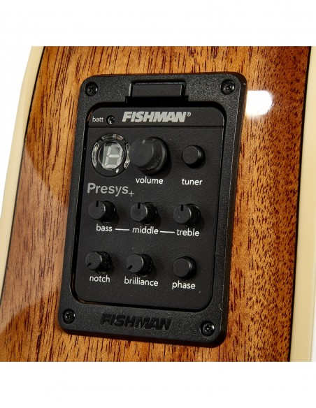 THE TASMAN TA300-CE DREADNOUGHT CUTAWAY ELECTRO-ACUSTICA FISHMAN SONITONE GT2 , PREMIUM HARD CASE