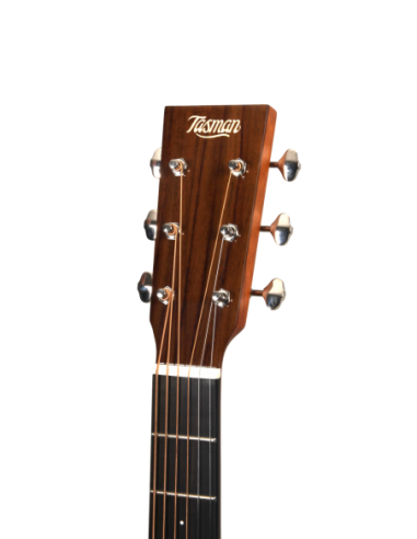 THE TASMAN TA300O-E - GUITARRA OM...