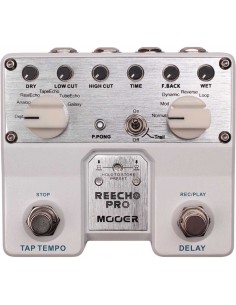 REECHO PRO DIGITAL DELAY