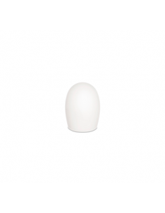 5A/7A Tip (Wood-Like)