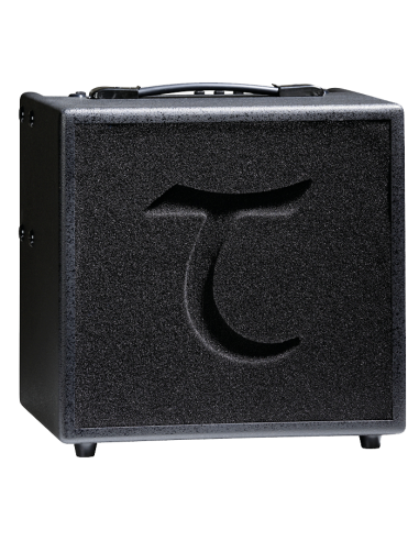 AMPLIFICADOR TANGLEWOOD T-6 60W C/FUNDA