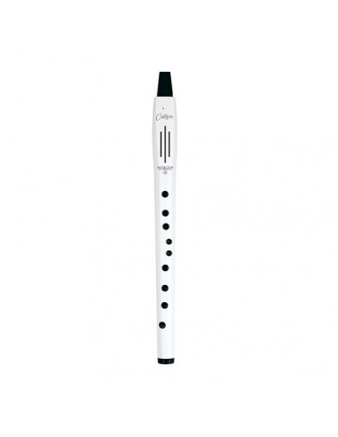 DIGITAL WIND INSTRUMENT 2 WHIT